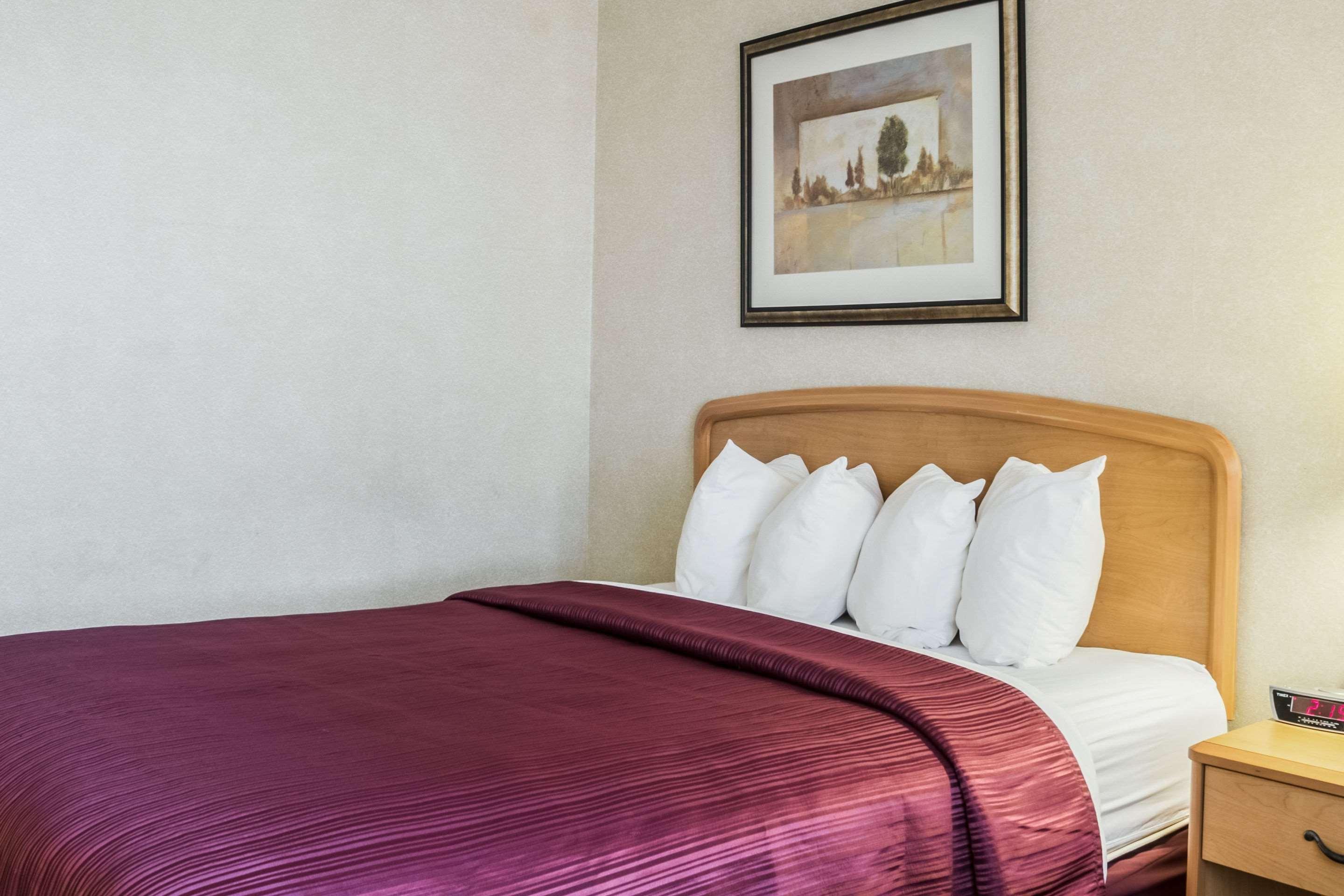 Hotel Quality & South 2*